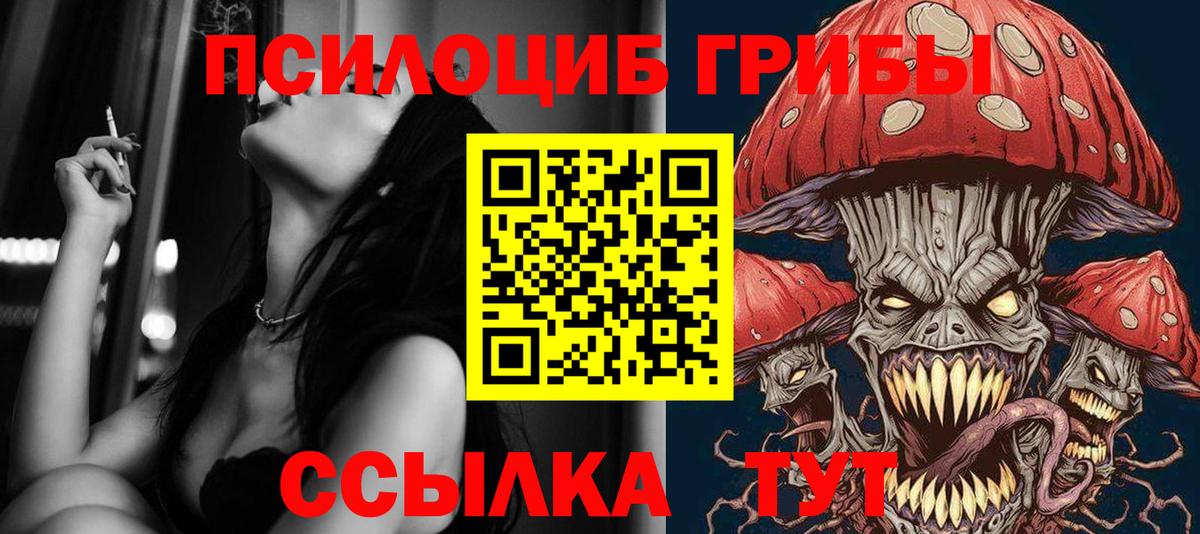 Россошь  Галлюциногенные грибы Cubensis  Вход с VPN 