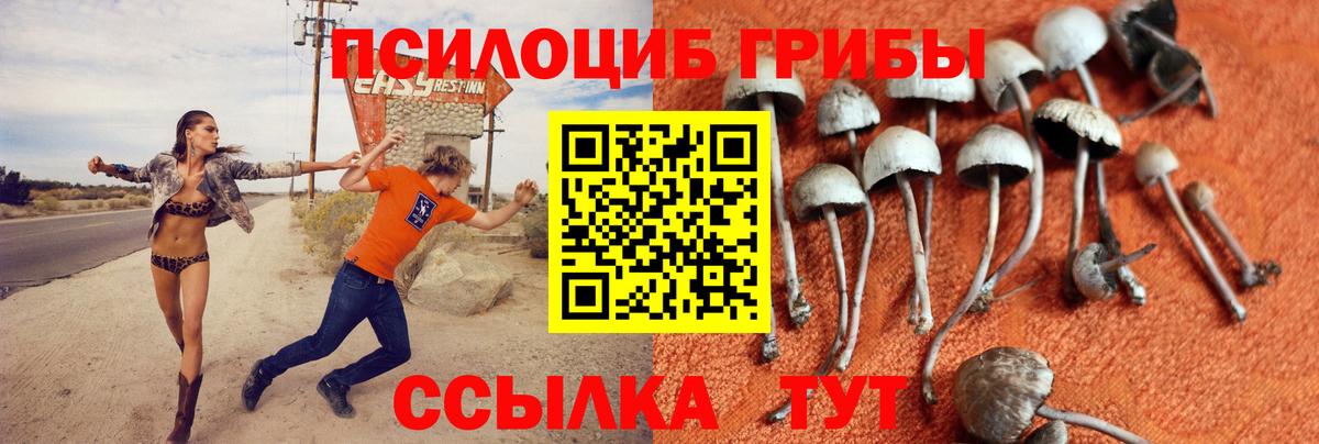 Галлюциногенные грибы Psilocybe Россошь